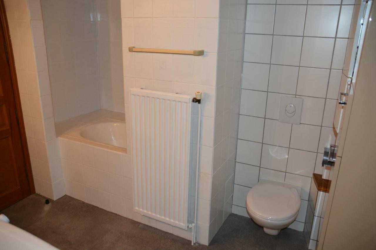 Appartement Le Cerf à Colmar Extérieur photo